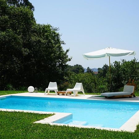 Quinta Do Vale Grande Villa Albergaria-a-Velha Dış mekan fotoğraf