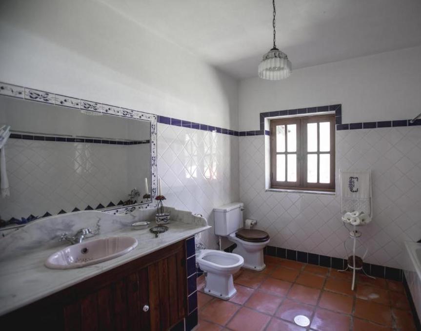 Quinta Do Vale Grande Villa Albergaria-a-Velha Dış mekan fotoğraf