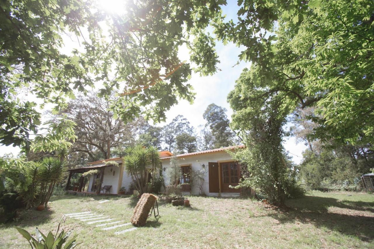 Quinta Do Vale Grande Villa Albergaria-a-Velha Dış mekan fotoğraf