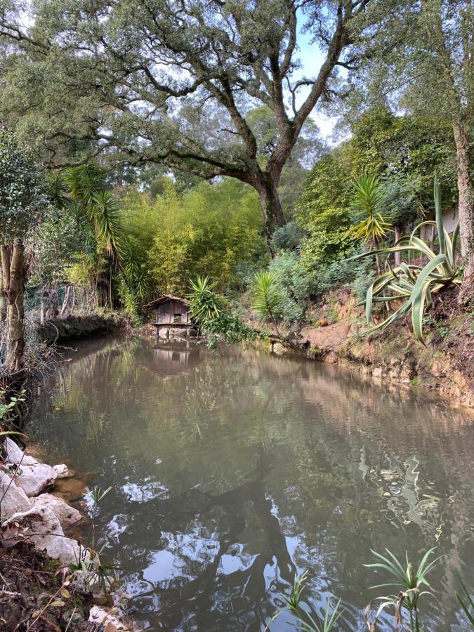 Quinta Do Vale Grande Villa Albergaria-a-Velha Dış mekan fotoğraf