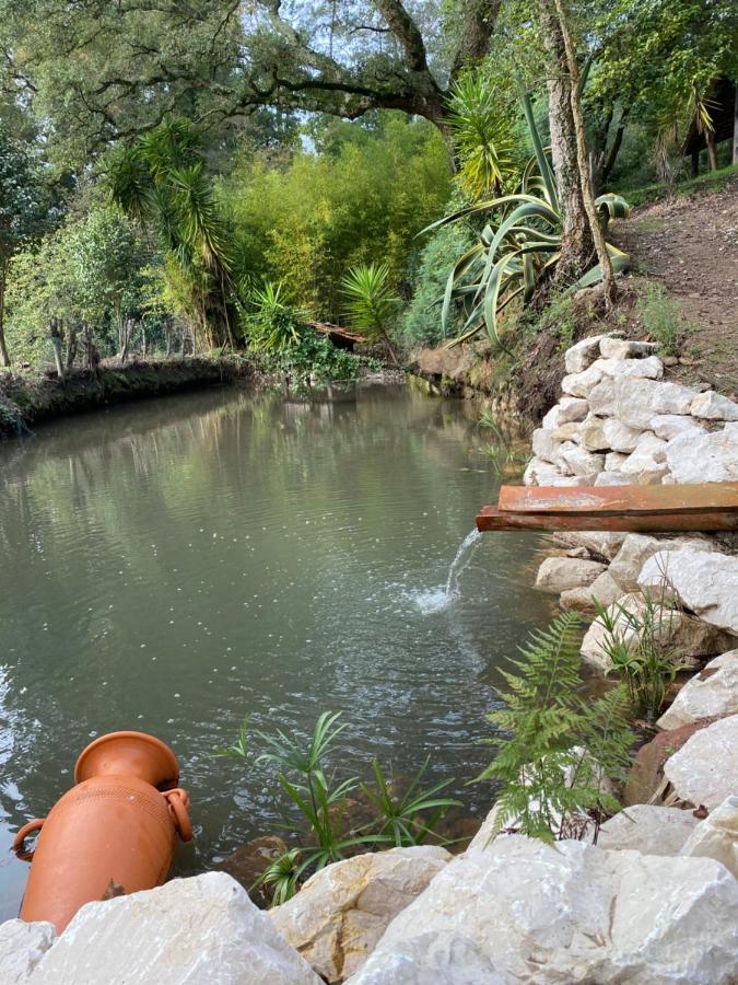 Quinta Do Vale Grande Villa Albergaria-a-Velha Dış mekan fotoğraf