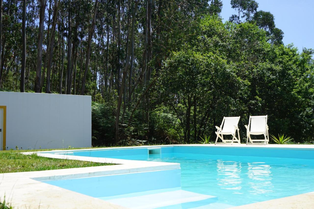 Quinta Do Vale Grande Villa Albergaria-a-Velha Dış mekan fotoğraf
