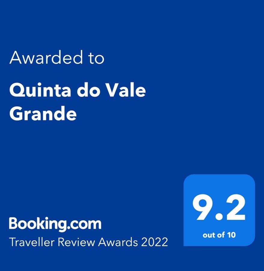 Quinta Do Vale Grande Villa Albergaria-a-Velha Dış mekan fotoğraf