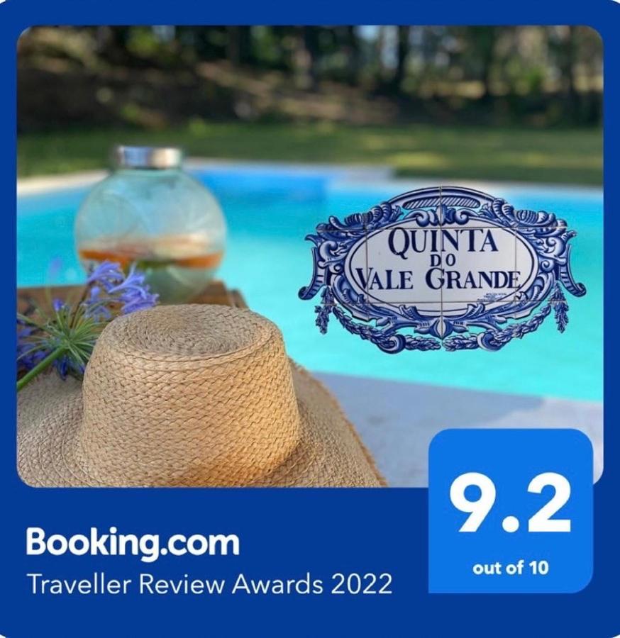 Quinta Do Vale Grande Villa Albergaria-a-Velha Dış mekan fotoğraf