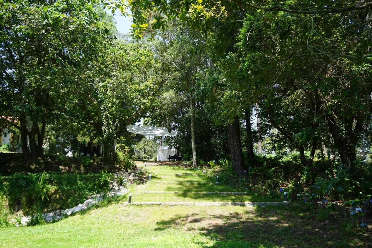 Quinta Do Vale Grande Villa Albergaria-a-Velha Dış mekan fotoğraf