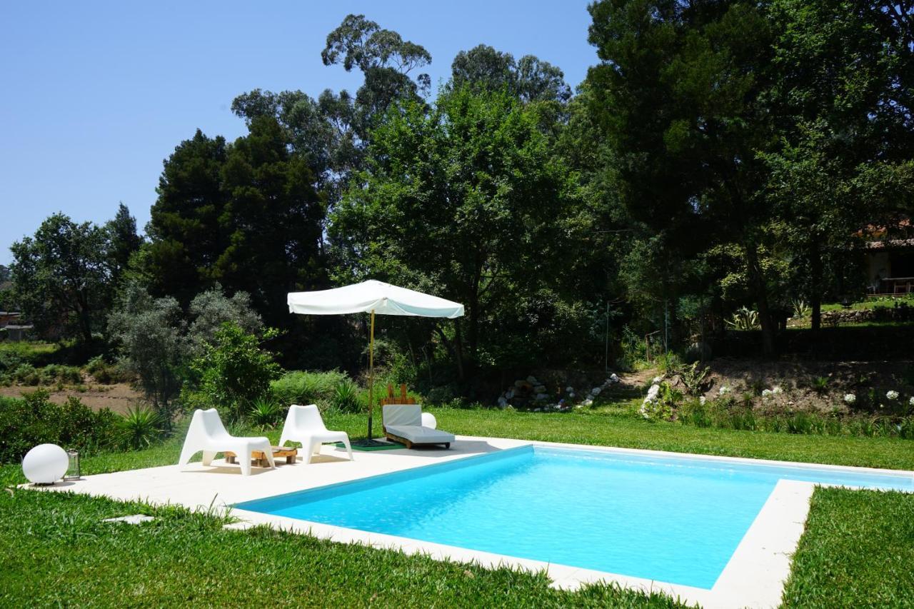 Quinta Do Vale Grande Villa Albergaria-a-Velha Dış mekan fotoğraf