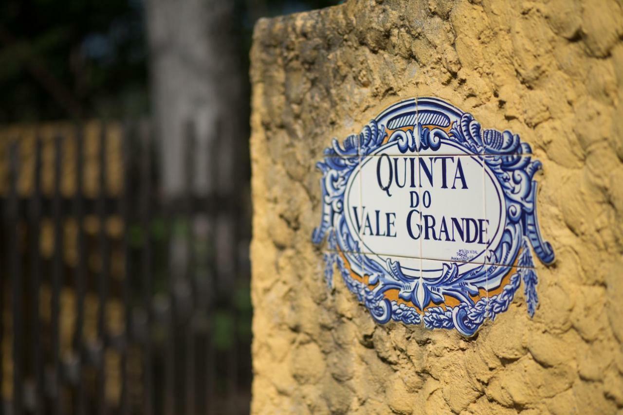Quinta Do Vale Grande Villa Albergaria-a-Velha Dış mekan fotoğraf
