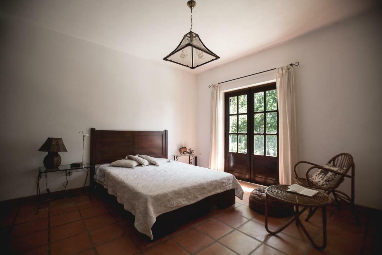 Quinta Do Vale Grande Villa Albergaria-a-Velha Dış mekan fotoğraf